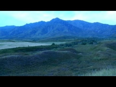 Видео: Тарбағатай таулары текст