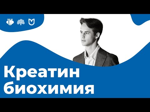 Видео: ВЕСЬ СИНТЕЗ КРЕАТИНА за 8 МИНУТ! // На Биохимическом