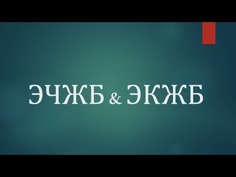 Видео: ЭЧЖБны бөлчөктү кыскартууда & ЭКЖБны бөлчөктөрдү кошуп (же кемиткенде)колдонобуз.