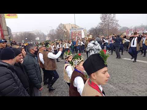 Видео: Баш Найден Каргона- 2020г. 5 куди на Пазара
