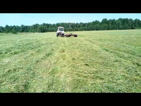 Видео: Окно у погоды и только сенаж