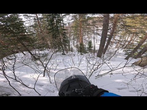 Видео: Маршрут через лог на Буране