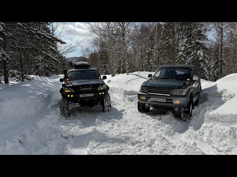 Видео: Покатушка выходного дня. Сахалин. 16.03.25. Lexus gx470 и Prado 95
