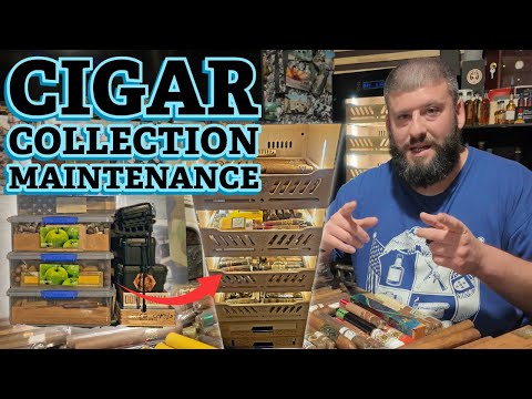 Видео: Советы и рекомендации по хранению сигар! Проверка, ротация и организация коллекции сигар! + Розыг...