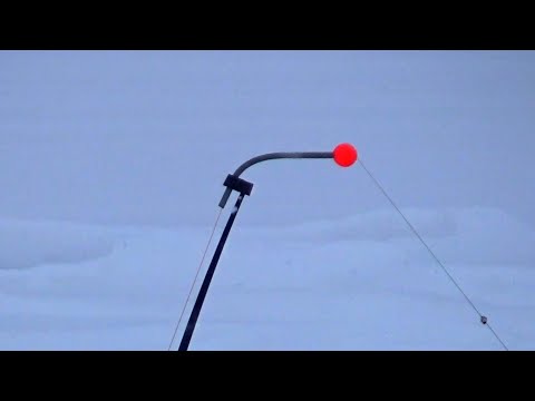 Видео: Рыбалка Сказка на Зимние Донки! Зимняя Рыбалка на Оке 2025!