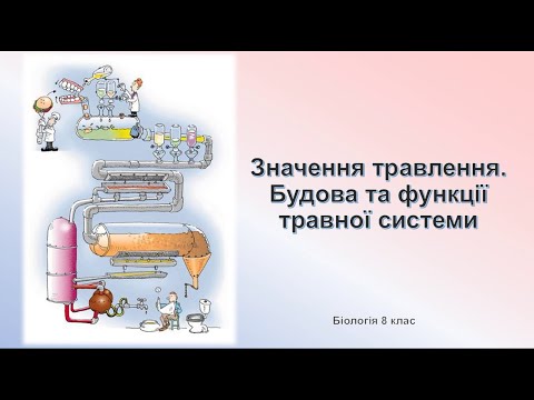 Видео: Біологія людини. Значення травлення. Будова та функції травної системи