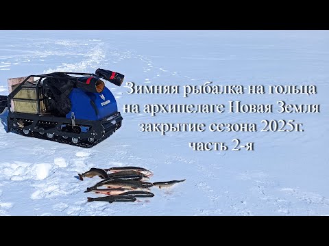 Видео: Ловля Гольца Зимой. Закрытие сезона 2025г часть 2 я