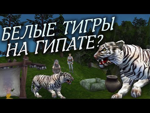 Видео: Эстера скрывает от нас портал? Секреты Проклятых земель №2 Тайны Аллодов