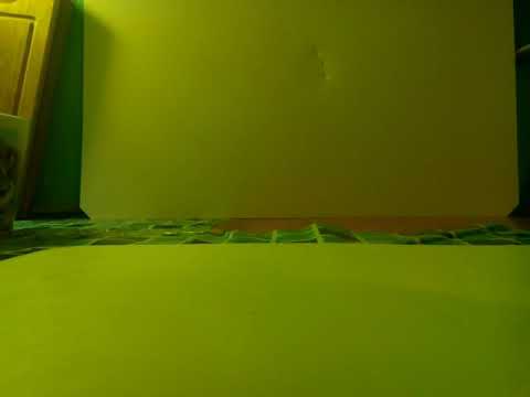 Видео: Моя коллекция мягких игрушек