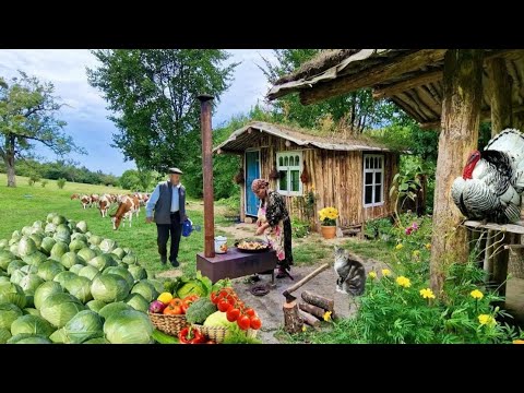 Видео: Бабушкин рецепт жареной капусты — вкус, как в детстве! 🥬🔥 Просто, дешево и вкусно!