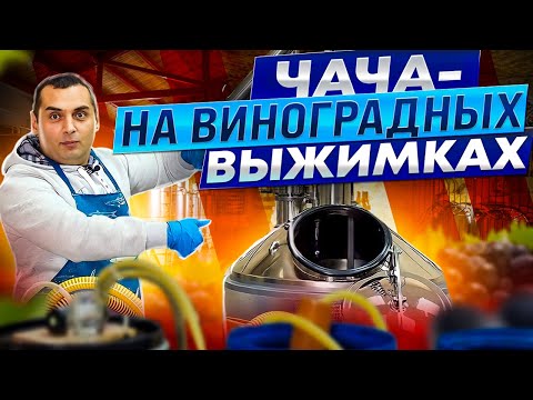 Видео: ЧАЧА - технология приготовления самогона на виноградных выжимках.