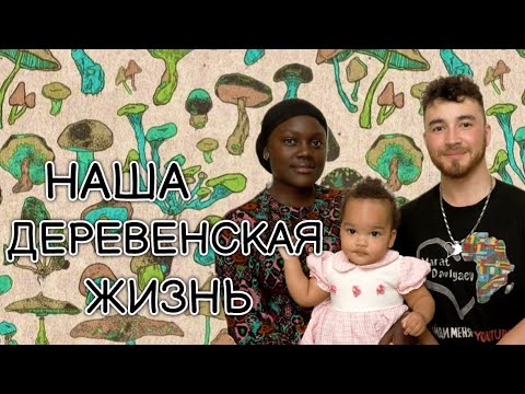 Видео: Как хорошо жить рядом с лесом