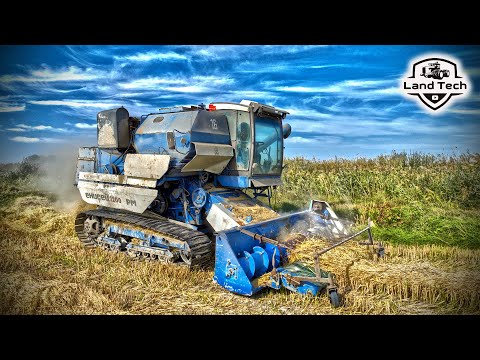 Видео: ЕНИСЕЙ-1200РМ - редкий гусеничный комбайн для уборки риса!