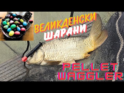 Видео: РИБОЛОВ с ПЕЛЕТ ВАГЛЕР / PELLET WAGGLER FISHING