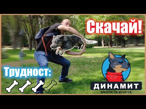 Видео: Научете кучето да СКАЧА така!