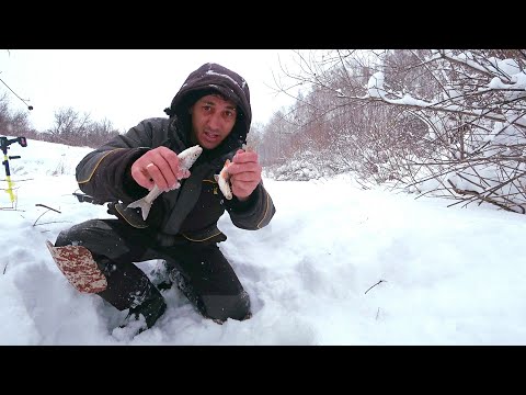 Видео: ЗАБРАЛИСЬ в РЕАЛЬНУЮ ГЛУШЬ,половить ЕЛЬЦА на БЕЗМОТЫЛКУ. Рыбалка 2023