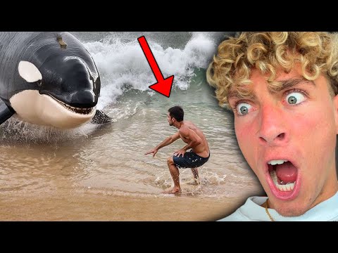 Видео: НЕВЕРОЯТНЫЕ моменты, запечатленные на камеру