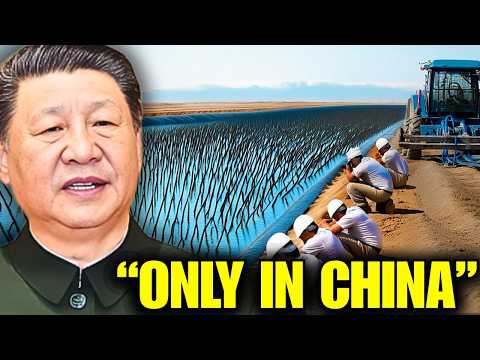 Видео: Все смеялись над Китаем за захоронение тонн растений в пустыне... Спустя 10 лет они пожалели об этом