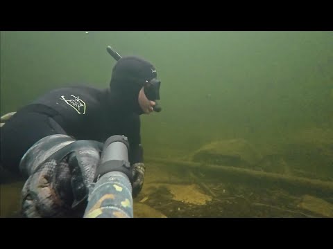Видео: Подводная охота на р.Колвица Мурманская область 11.10.2025г/Underwater hunting on the Kolvitsa River