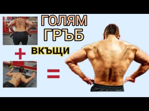 Видео: УПРАЖНЕНИЯ за ГРЪБ ВКЪЩИ