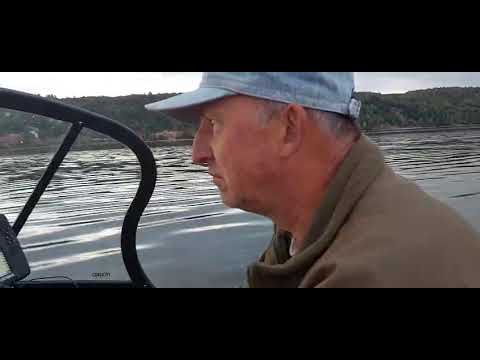 Видео: Лорд Ривер 51 Парсун 100 