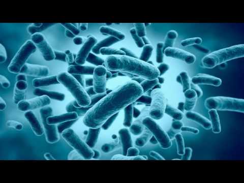 Видео: Анаэробные организмы: жизнь без кислорода (рассказывает профессор Юдес Каланиекс)