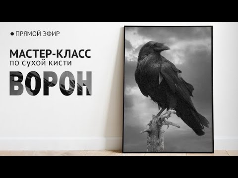 Видео: Мастер-класс по технике сухая кисть "Ворон"