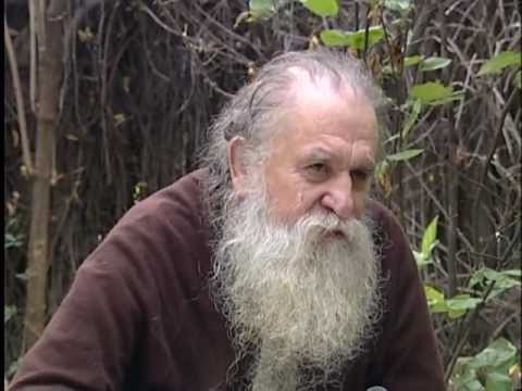 Видео: Длинная борода