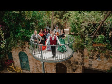 Видео: В кругу друзей.