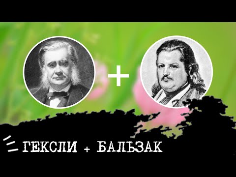 Видео: Гексли (ИЭЭ, ENFP) + Бальзак (ИЛИ, INTP), анализ отношений