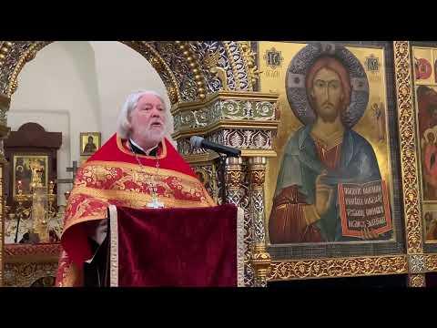 Видео: Проповедь в Неделю о самарянке (священник Алексей Уминский, 2023)