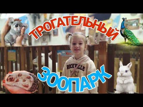 Видео: Влог трогательный зоопарк Ростов-на-Дону видео обзор