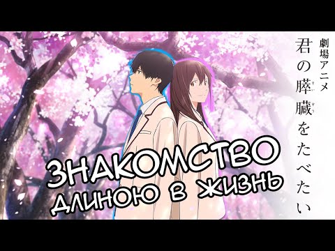 Видео: Почему «Я хочу съесть твою поджелудочную» лучше «Твоего имени»? Бриллиант среди полнометражных аниме
