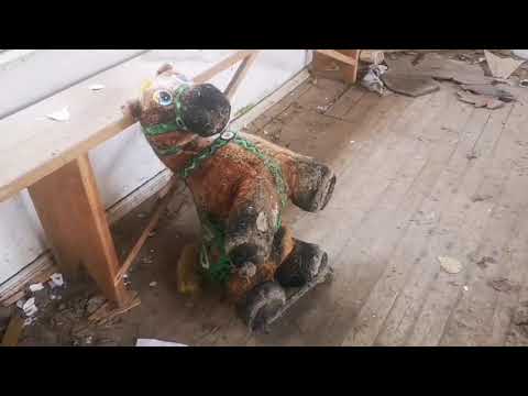 Видео: Город на букву Д - Дедовск и его окрестности - НЕОБЫЧНОЕ ПУТЕШЕСТВИЕ В ЗАБРОШЕННЫЙ ПИОНЕРСКИЙ ЛАГЕРЬ