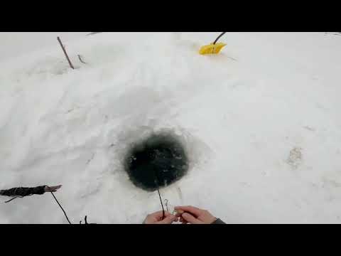 Видео: Серия ✓32 Рыбалка. Всё пропало шеф 🤦‍♂️