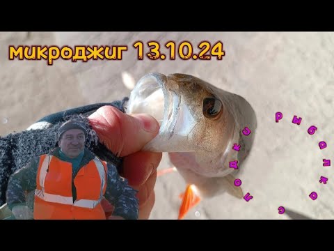 Видео: Упрямая щука нигде и ни на что клевать не хотела! Натягали окуней(600гр)на микро-джиг! Рыбалка в -1🎣