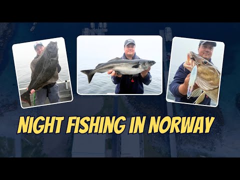 Видео: Ночная рыбалка в Норвегии – палтус, треска и угольки