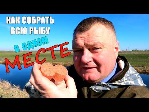 Видео: Рыбный эксперимент с АКТИВАТОРОМ КЛЁВА — удивит ли результат?