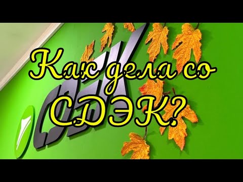 Видео: Как дела с нашим бизнесом СДЭК?