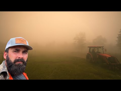 Видео: Опасный туман накрыл нашу ферму!