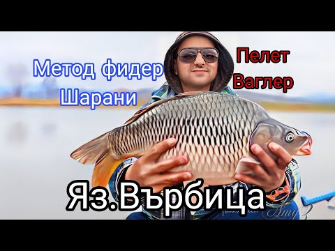 Видео: ФИДЕРА ОТНОВО СПИ!  РИБОЛОВ на ПЕЛЕТ ВАГЛЕР! КАК ИЗЛЪГАХ РИБАТА! ЯЗ.ВЪРБИЦА!