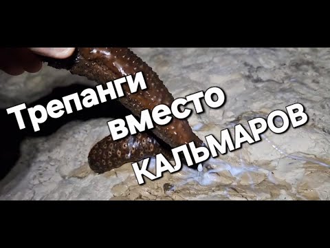 Видео: Недорыбалка, почти на кальмара! Not enough fishing, almost for squid!