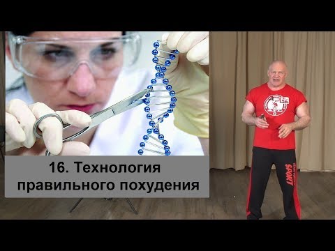 Видео: 16. Технология решения задачи похудения.