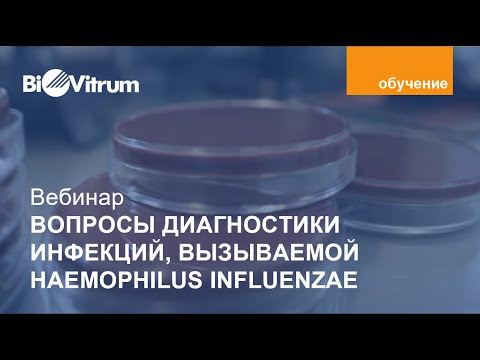 Видео: Актуальные вопросы диагностики инфекции вызываемой Haemophilus Influenzae