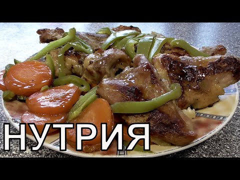 Видео: Нутрия Что и как приготовить из мяса нутрии Нутрия правильный рецепт