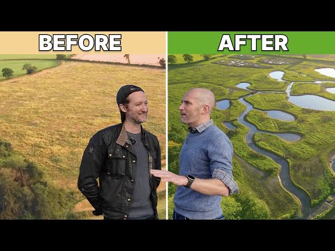 Видео: Создание водно-болотных угодий с нуля (совместно с Belmont Estate)