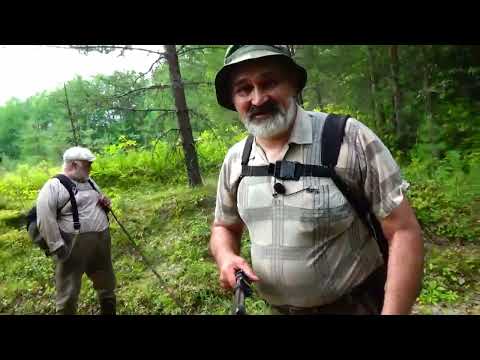 Видео: Поймать карася в жару #6 Проверка второго гӧпа