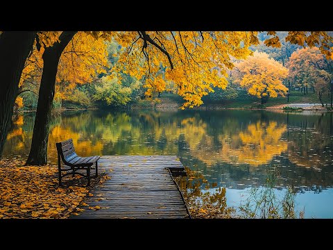 Видео: ВОССТАНОВЛЕНИЕ НЕРВНОЙ СИСТЕМЫ 🌿осенняя листва, спокойная музыка, расслабляющая успокаивающая музыка