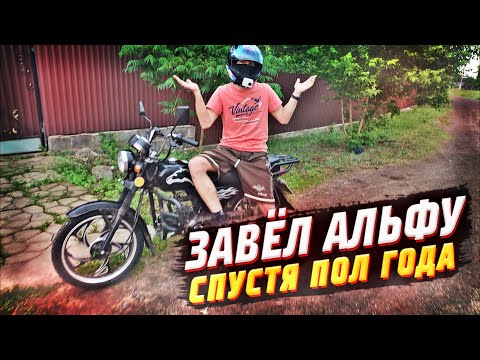 Видео: ЗАВЁЛ АЛЬФУ ВПЕРВЫЕ ЗА ПОЛ ГОДА! ПОКАТУШКИ НА МОПЕДЕ АЛЬФА! АЛЬФАВОД ВЕРНУЛСЯ!