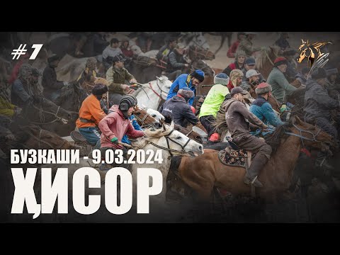 Видео: Бузкаши 9.03.2024 ш.Хисор #1